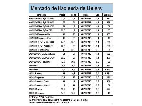 Índice Novillo subió un 4,6% en Liniers