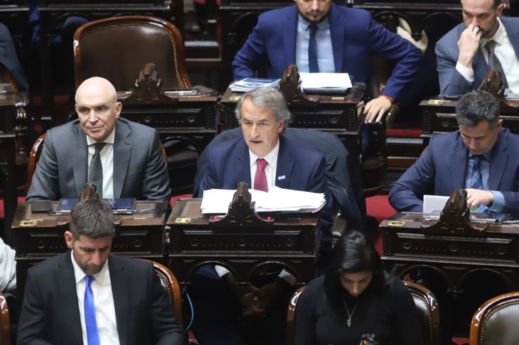 Nicolás Mayoraz, diputado de La Libertad Avanza.