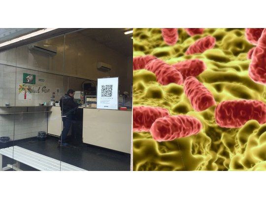 Cien intoxicados por salmonela tras consumir sándwiches de miga