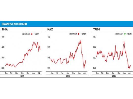 Maíz: precio sostenido por la buena demanda local