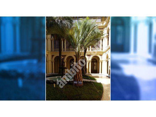 Finalmente, reemplazaron la palmera muerta en Casa Rosada