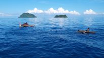 vida: una alucinante travesia por el interior de la selva y del espiritu