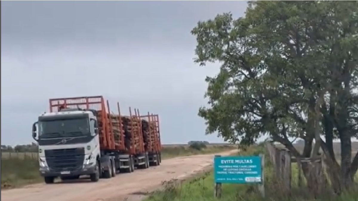 Controversy with forestry companies over the use of rural roads that led to the road emergency