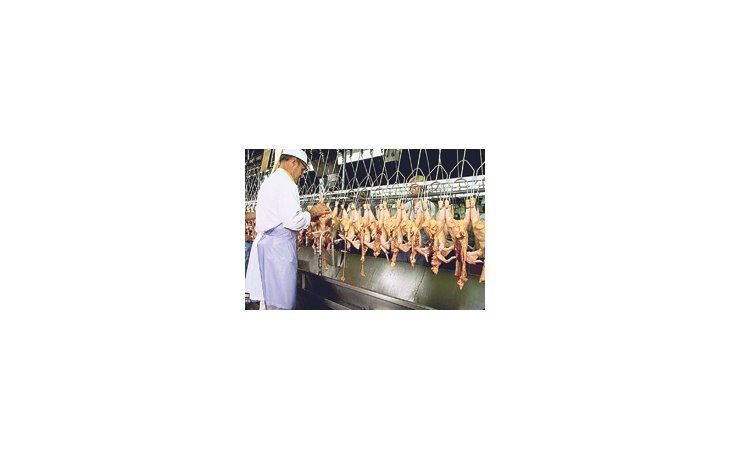 Sólo para la Unión Europea, la caída del volumen de embarques de carne aviar fue de un 15%, a 141.233 toneladas.