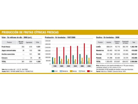 Cítricos un negocio sin exprimir