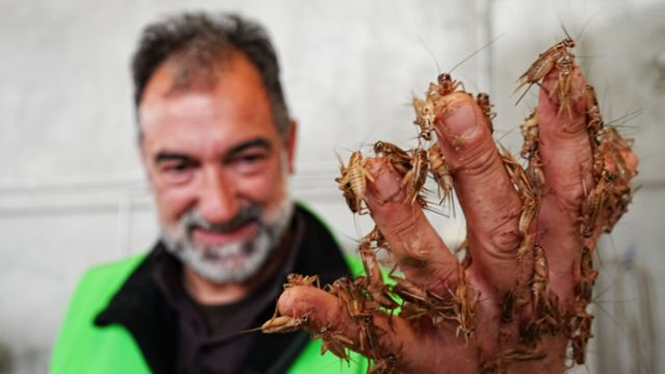 The Italian Deputy Prime Minister, Matteo Salvini, spoke out against this type of gastronomy and assured that "they will oppose this madness that would impoverish agriculture and culture."