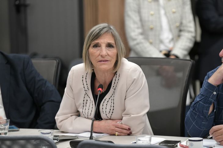 "El Poder Legislativo tiene que hacer algo", dijo la periodista Liliana Franco.