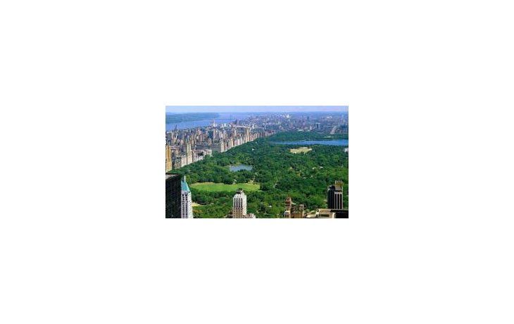 El célebre Central Park, uno de los más de 1.700 parques que posee Nueva York.