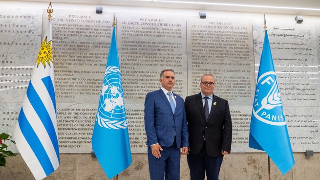 Uruguay puede y debe responder por una seguridad alimentaria global, aseguró Yamandú Orsi. Uruguay puede y debe responder por una seguridad alimentaria global, aseguró Yamandú Orsi.