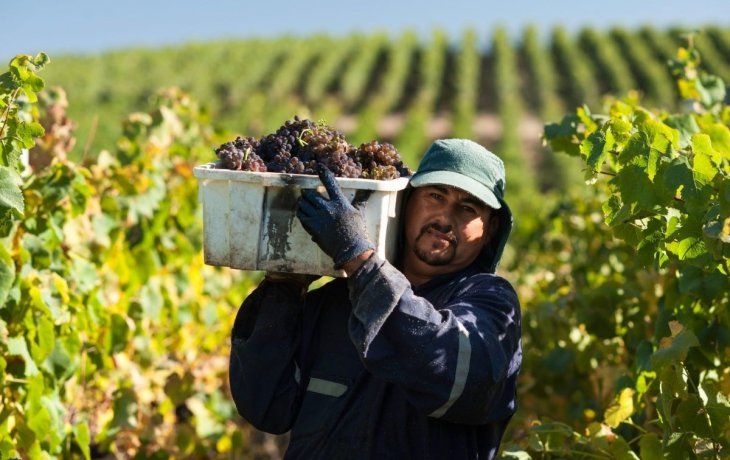 Según la resolución, el INV dejará de intervenir en las etapas iniciales eintermedias de la producción paraconcentrarse exclusivamente en el control de los productos finalesembotellados. Según la resolución, el INV dejará de intervenir en las etapas iniciales eintermedias de la producción paraconcentrarse exclusivamente en el control de los productos finalesembotellados.