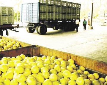 Paro de transportistas por falta gasoil provocó millonarias pérdidas en Tucumán: tiran toneladas de limones a la basura