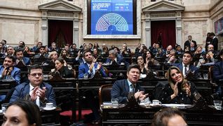 Diputados aprobó la Ley Hojarasca. Diputados aprobó la Ley Hojarasca.