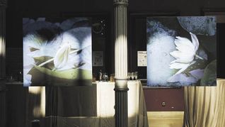 Marzotto expone en Madrid
