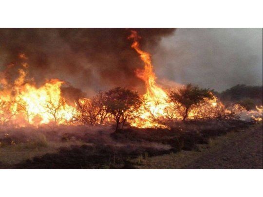Ya se quemaron más de 600 mil hectáreas en La Pampa y el fuego sigue sin control