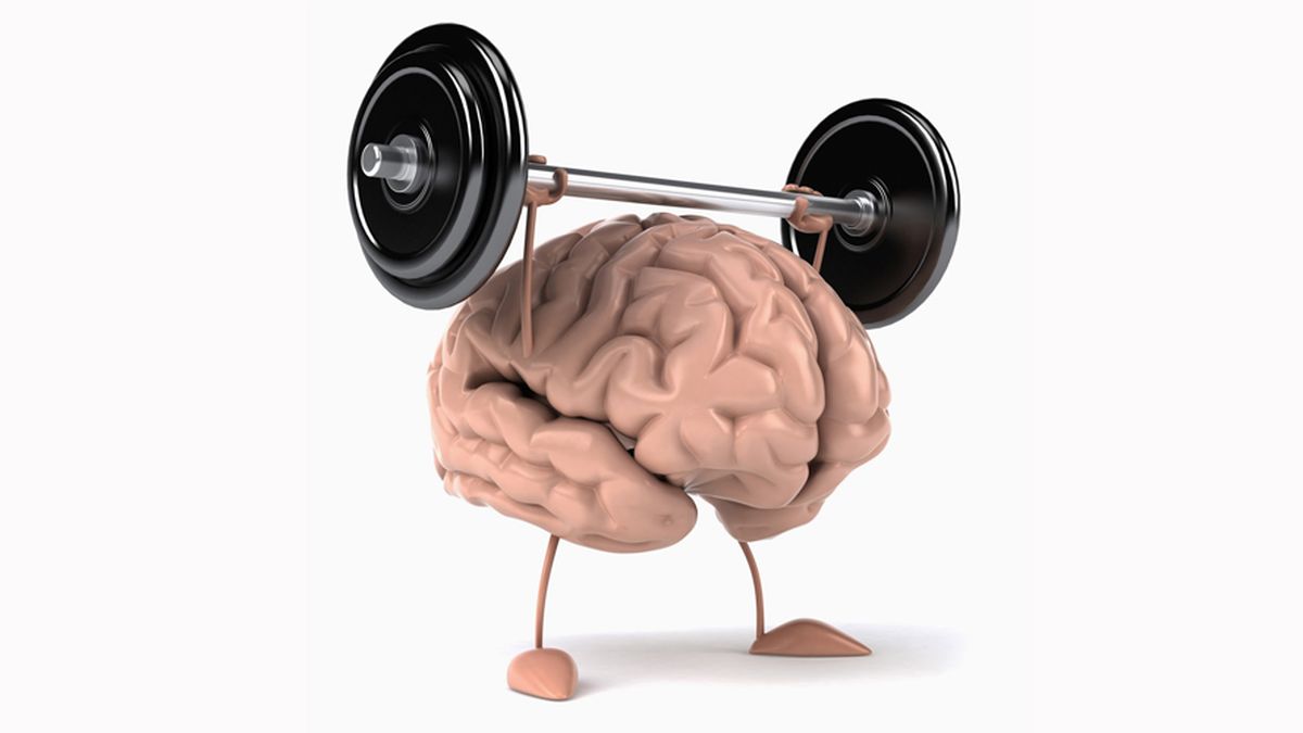 Cerebro: ¿Por qué hacer ejercicio evita que se achique?