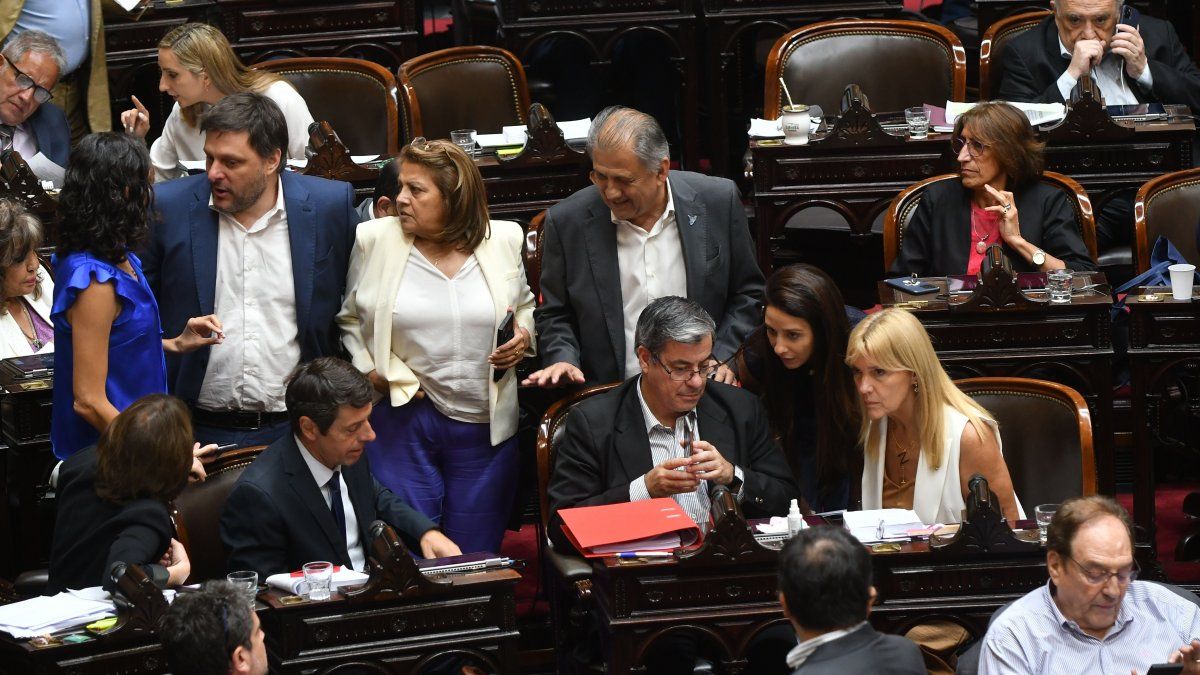 Diputados de Unión por la Patria desafían a Javier Milei: buscan ...