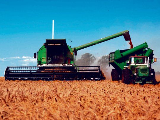 El USDA recortó la estimación de producción de&nbsp;trigo&nbsp;argentino en 500.000 toneladas.&nbsp;