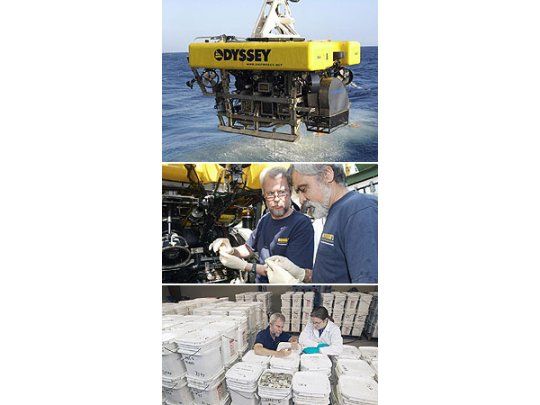 Descubren en el fondo del océano un tesoro de plata y oro por un valor de u$s 500 millones
