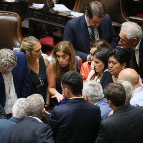 Danya Tavela, dirigente radical bonaerense y diputada del bloque Democracia para Siempre. Danya Tavela, dirigente radical bonaerense y diputada del bloque Democracia para Siempre.
