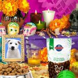 Por qué el Día de Muertos para mascotas se celebra el 27 de octubre.&nbsp;
