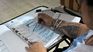 A table prosecutor reviews the voting record. A table prosecutor reviews the voting record.