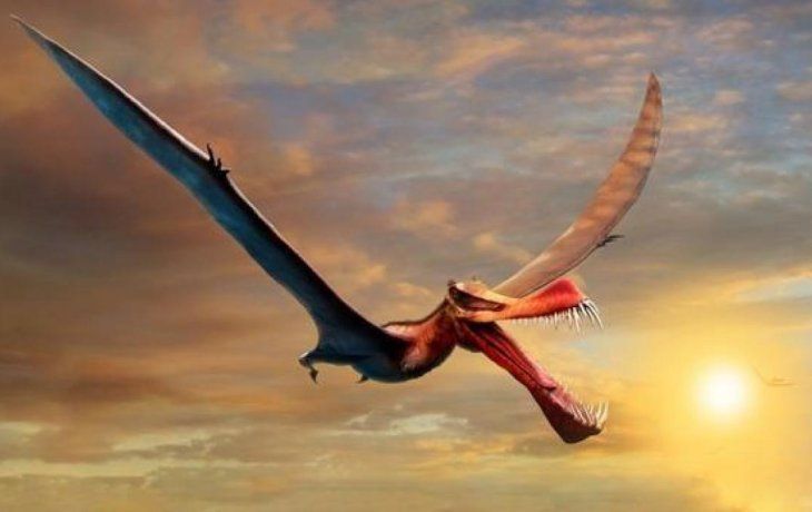 Encuentran a un temible dinosaurio volador en Australia
