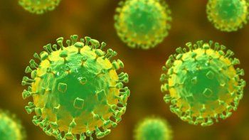 El virus Nipah se detectó por primera vez en Malasia.&nbsp;