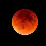 En México observa en el 2019 un fenómeno astronómico: la primer Superluna de sangre. En México observa en el 2019 un fenómeno astronómico: la primer Superluna de sangre.