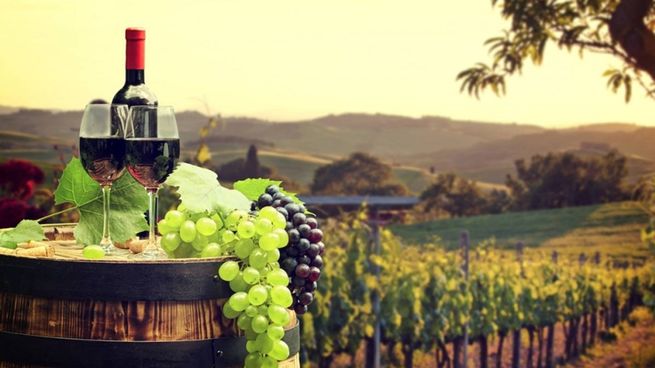 Beber menos, pero mejor es el mantra de los nuevos consumidores que buscan calidad y experiencias premium en el vino.&nbsp;