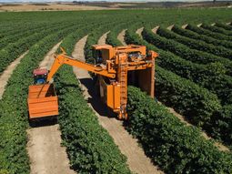 el gobierno bonaerense busca impulsar la produccion agropecuaria y de alimentos