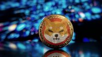 shiba inu: ¿que es y para que sirve?