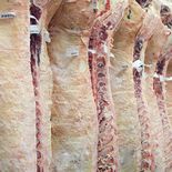 El gobierno suma requisitos para evitar residuos veterinarios en carnes exportadas. El gobierno suma requisitos para evitar residuos veterinarios en carnes exportadas.