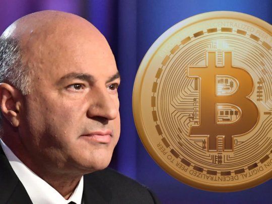 El sombrío pronóstico de un gurú de las finanzas sobre las criptomonedas: Todavía no tocó fondo.