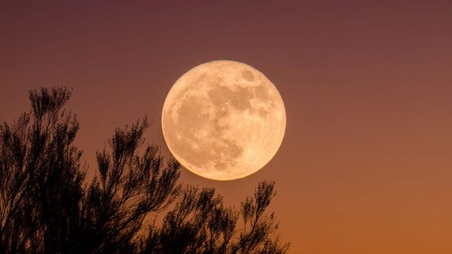 Qué hay en el interior de la Luna, según la Ciencia