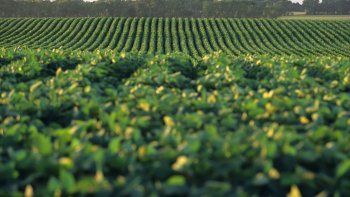 Pronostican altas temperaturas en zonas productoras de Estados Unidos.