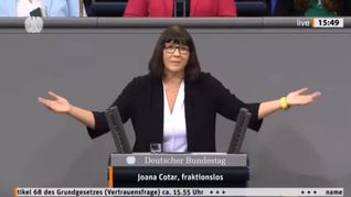 Una parlamentaria alemana aseguró que su país necesita más Milei para solucionar sus problemáticas actuales.