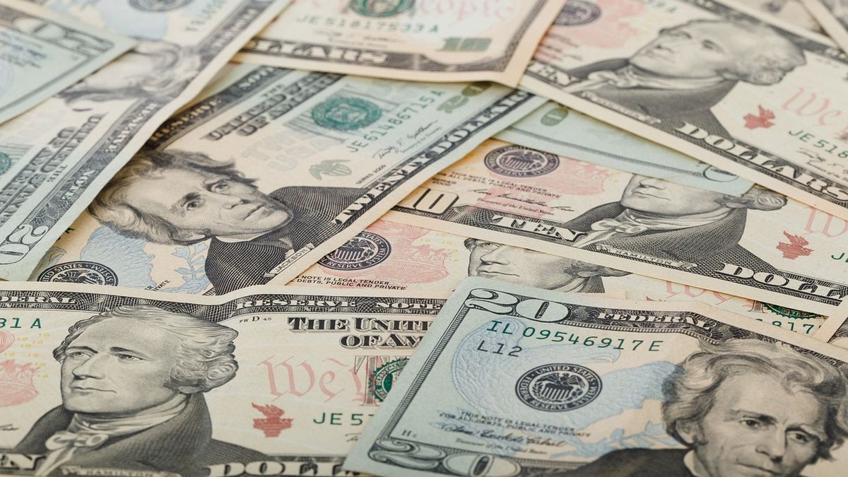 The dollar rose after two days of falling, but continues with ups and downs