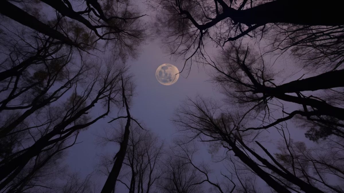 What does someone like to look at the moon, according to psychology