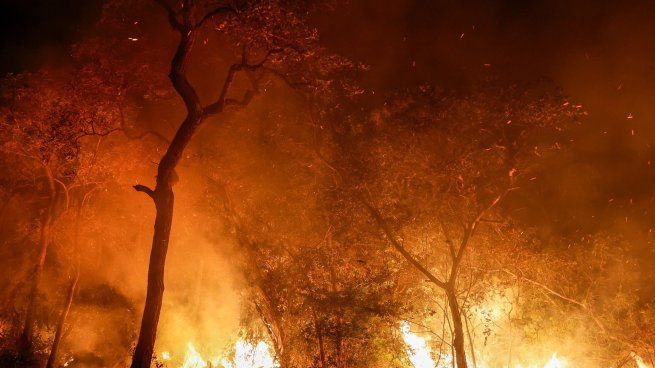 Millionaire divorced and set fire to his mansion to avoid giving it to his ex-wife