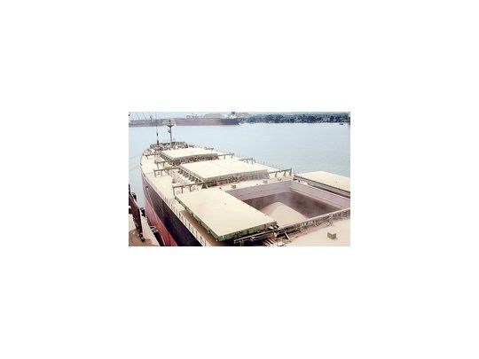 Las importaciones chinas de soja en septiembre siguieron aumentando, a 5 millones de toneladas.