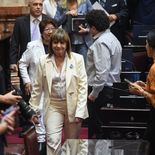 Bullrich fue la principal promotora del proyecto. Bullrich fue la principal promotora del proyecto.