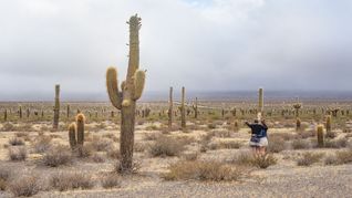 ámbito.com | PN Los Cardones.jpg