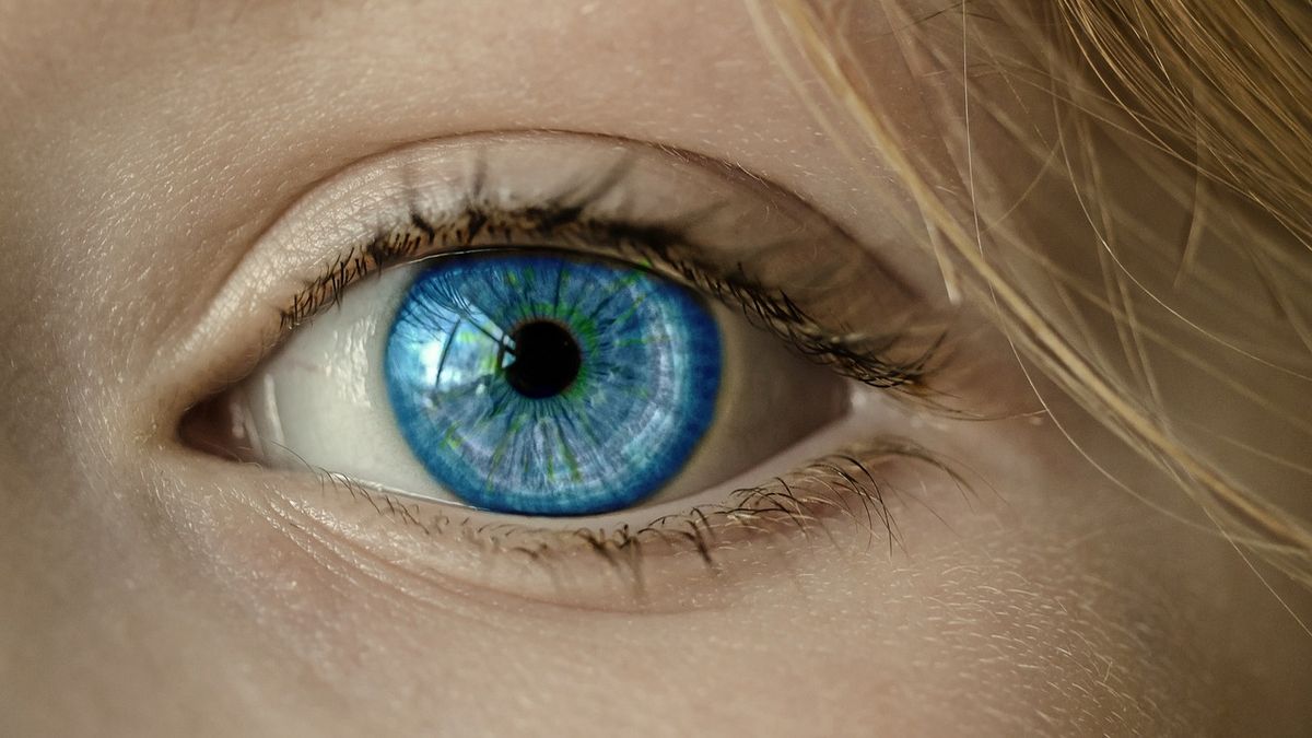 Pinguecula and pterygium, the most common conditions of the white part of the eye