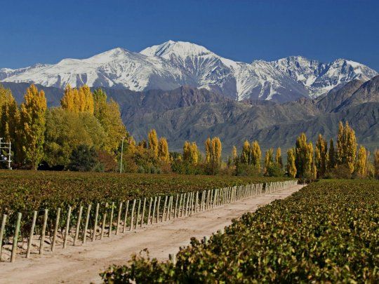 Propuesta. Por el momento, sólo los mendocinos podrán disfrutar del turismo en la provincia.