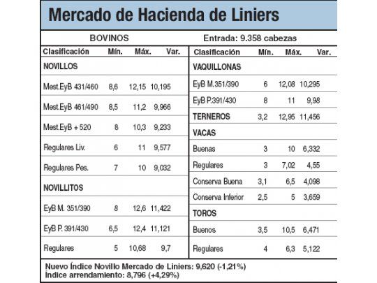 Los novillos subieron el 0,9%