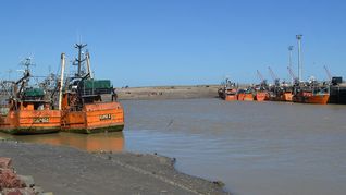 La industria de la pesca pide reformas en la ley ómnibus.