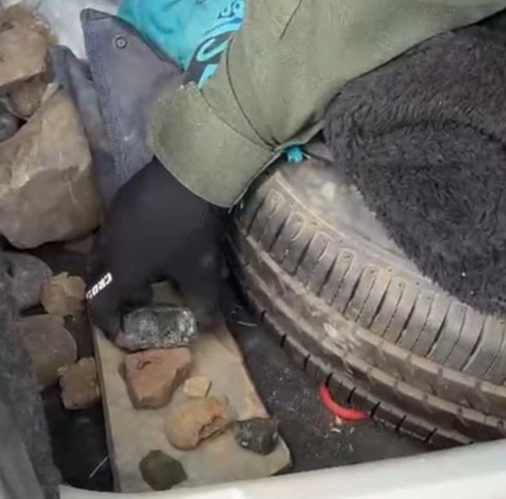 Personal de Gendarmería del Escuadrón 29 detectó las piezas durante una inspección de rutina a la altura del kilómetro 2998. Personal de Gendarmería del Escuadrón 29 detectó las piezas durante una inspección de rutina a la altura del kilómetro 2998.
