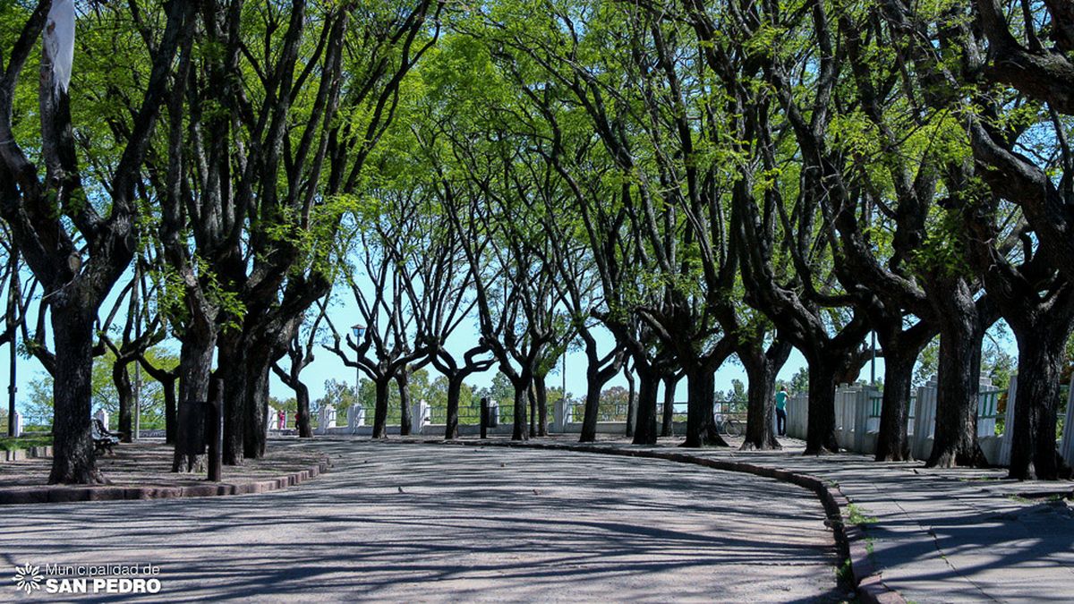 Weekend getaways: three proposals near Buenos Aires to enjoy the summer