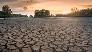 No queda ya mucha tierra, alertó el informe de la ONU.