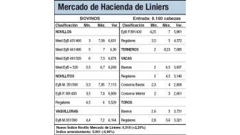 Liniers, mixto por feriados